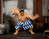 Jada Toys Street Fighter II E. Honda Action Figure 1:12 Deluxe Scale Toys  6" Tall