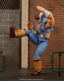 Jada Toys Street Fighter II T. Hawk Action Figure1:12 Deluxe Scale Toys 6" Tall