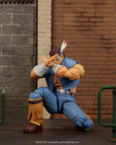 Jada Toys Street Fighter II T. Hawk Action Figure1:12 Deluxe Scale Toys 6" Tall